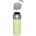 B2B_Web_PNG-The-Quick-Flip-GO-Bottle-36OZ-Citron-Front_288e2c83-97d5-40e4-8029-88cf36228a98-1