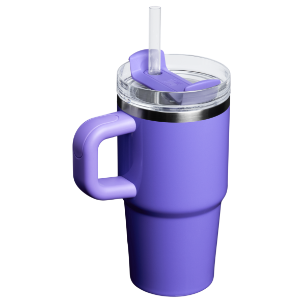 The Stanley Quencher H2.O FlowState Tumbler with Handle 20 OZ Cup in Punch Shimmer Purpple