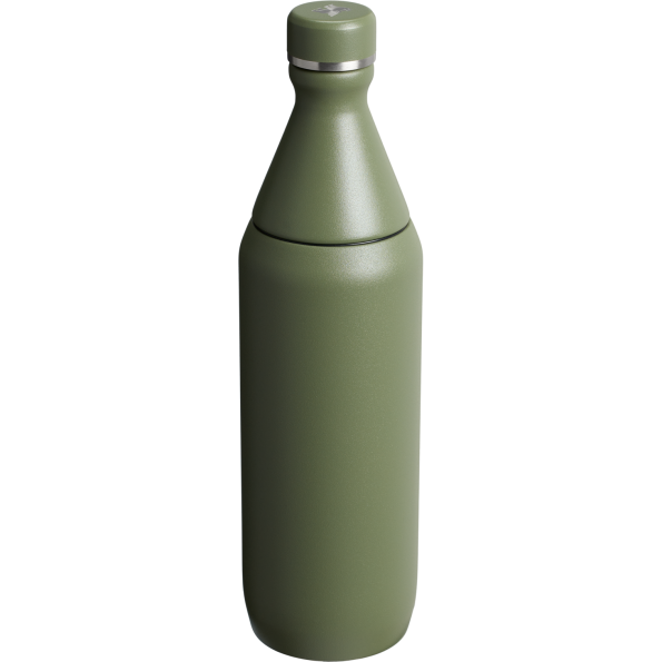 Stanley All Day Slim Water Bottle 20 OZ In Dried Pine Green