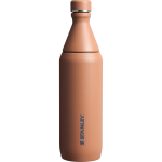 Web_PNG_Square-AllDaySlimBottle20OZ-RoseQuartzGloss-Front_e855de03-1b9d-46de-8543-df2e840d22d4