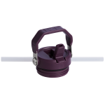 Web_PNG_Square-TheIceFlowAerolightBottleFlipStraw2.024OZ-Lilac-Front_ea1682b8-5f67-4b53-80c6-a3b6ad40c649