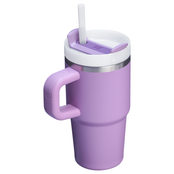 The Quencher H2.O 20 oz FlowState Tumbler with handle and straw in Lilac Purple