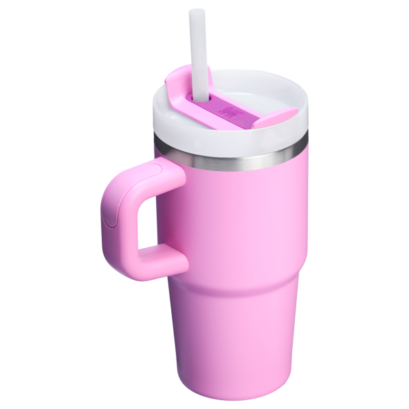 The Quencher H2.O 20 oz FlowState Tumbler with handle and straw in Peony Pink